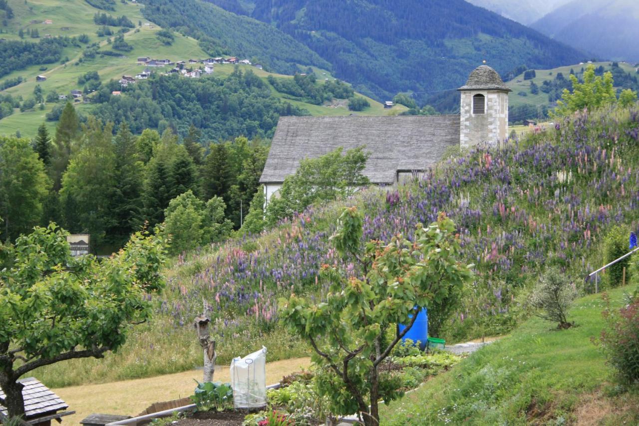 Apartamento Casa Schuoler Disentis Exterior foto